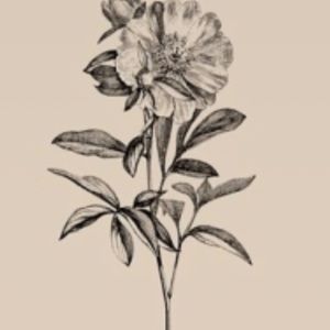 Meet your Posher, Kinsey